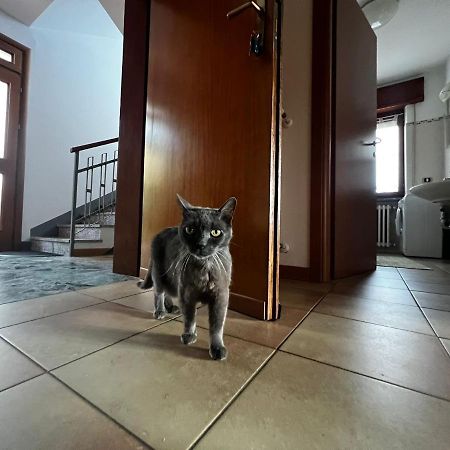 My Holidays - Musso Daire Dış mekan fotoğraf